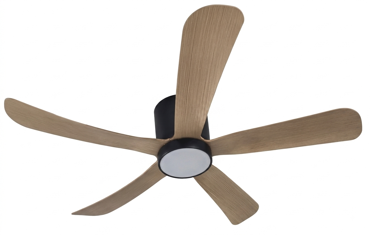 iFAN DC Motor Ceiling Fan