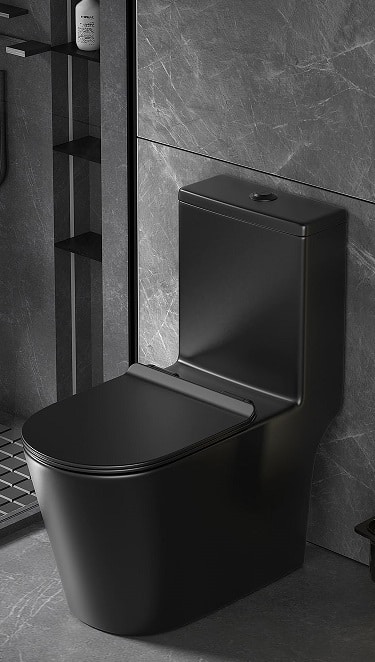 EACO One Piece Toilet Bowl T933 Matt Black Color